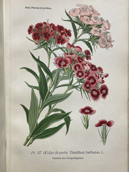 D. BOIS
Atlas des plantes de jardins et d'appartements...