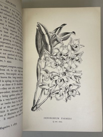 WATSON, W & BEAN, W. - Orchids : their culture...