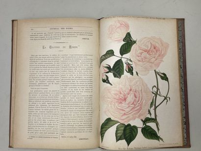 ROSES. - Journal des roses (Rosa inter flores)....
