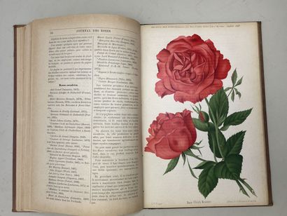 ROSES. - Journal des roses (Rosa inter flores)....