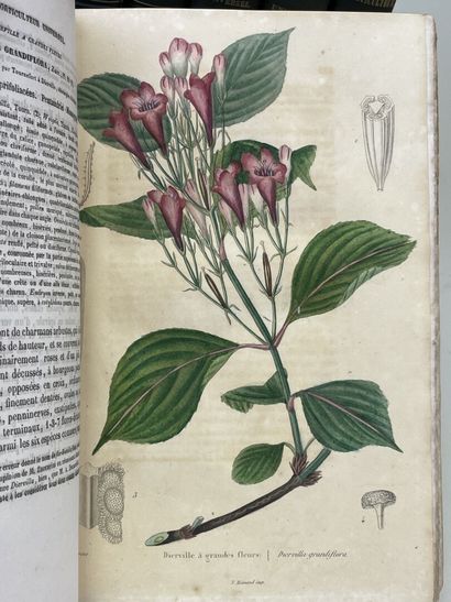 LEMAIRE, Charles. - L'Horticulteur Universel,...