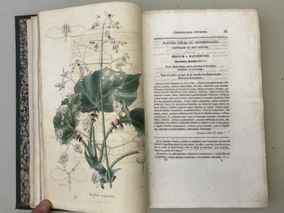 LEMAIRE, Charles. - L'Horticulteur Universel,...