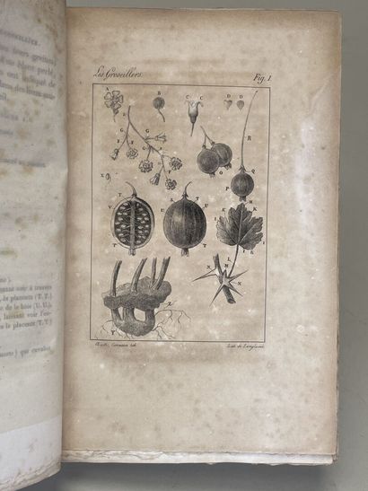 THORY, (Claude-Antoine). - Monographie ou...