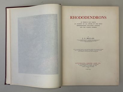 MILLAIS, John Guille. - Rhododendrons (first...