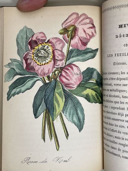 LA TOUR, Charlotte de (pseud. Mme. CORTE)....
