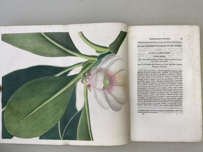 LEMAIRE, Charles. - L'Horticulteur Universel,...