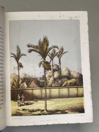 SEEMANN, Berthold. - Popular history of the...