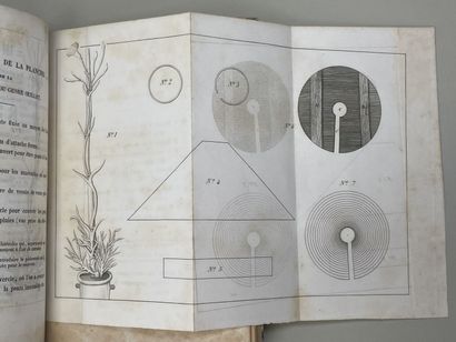 PONSORT, Charles Louis de. - OEillet... Deuxième...