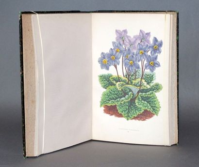VERLOT, Bernard. - Les Plantes Alpines. Choix...