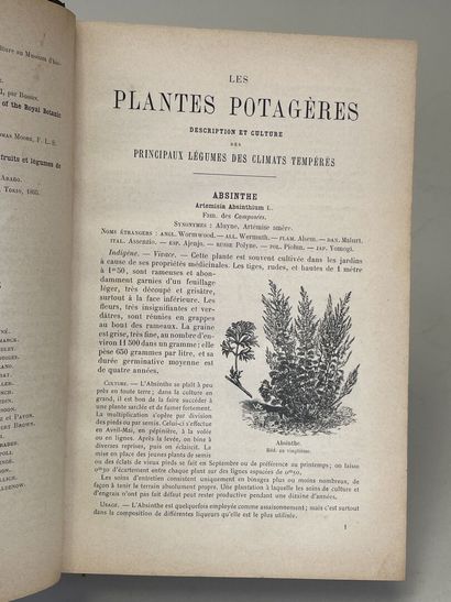 VILMORIN-ANDRIEUX. - Les Plantes potagères....