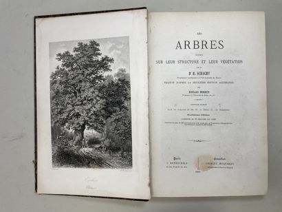 SCHACHT, Dr. Hermann. - Les Arbres. Etudes...