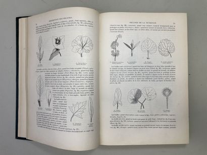 LE MAOUT, Emmanuel. - Botanique. Organographie...