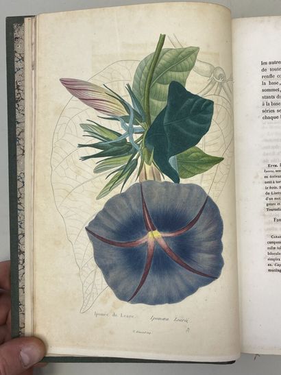 LEMAIRE, Charles. - L'Horticulteur Universel,...