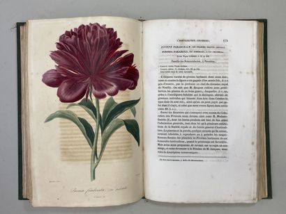 LEMAIRE, Charles. - L'Horticulteur Universel,...