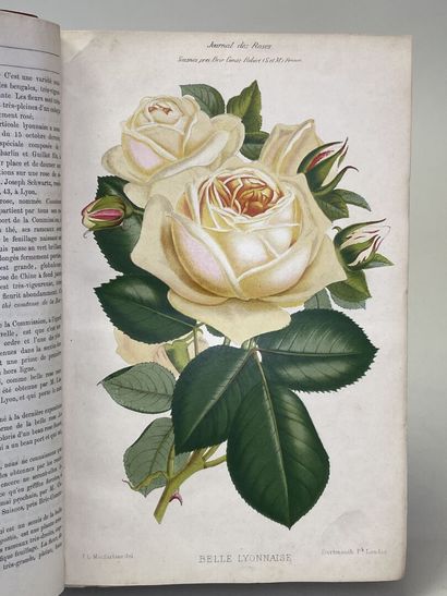ROSES. - Journal des roses (Rosa inter flores)....