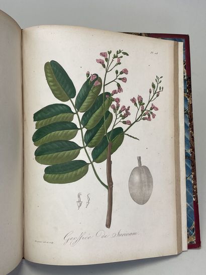 ROQUES, Joseph. - Phytographie médicale,...