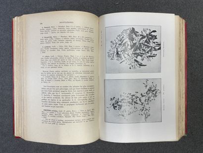 MOTTET, S. - Les Arbres et les Arbustes d'ornement...