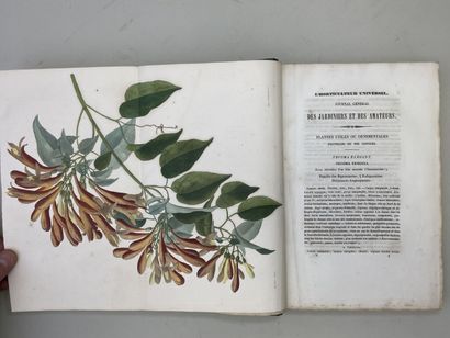 LEMAIRE, Charles. - L'Horticulteur Universel,...