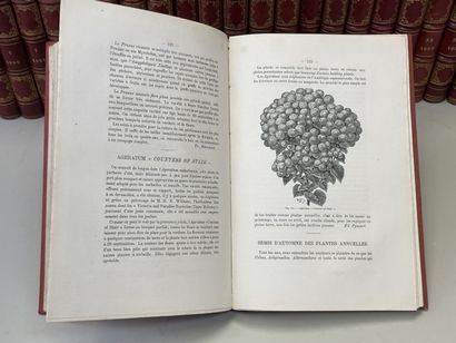Revue de l'Horticulture belge et étrangère...