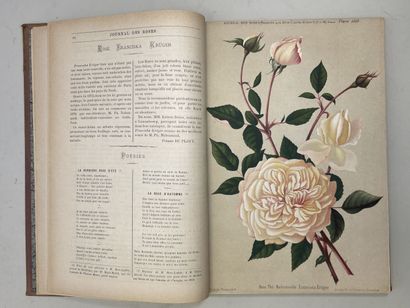 ROSES. - Journal des roses (Rosa inter flores)....