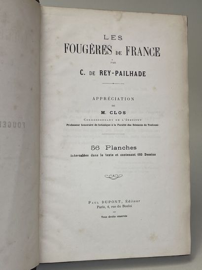 REY-PAILHADE, C. de. - Les Fougères de France....