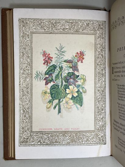 [LANGAGE DES FLEURS] BURKE, Mrs. L. (Anna...