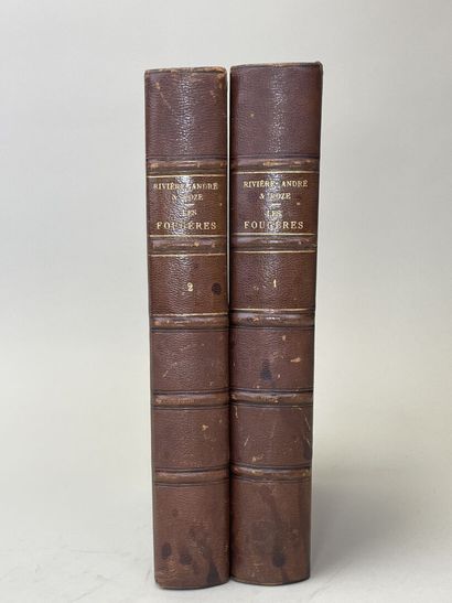 RIVIÈRE, A & ANDRE, Edouard & ROZE, E. -...