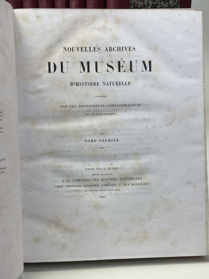 [MUSÉUM NATIONAL D'HISTOIRE NATURELLE]. -...