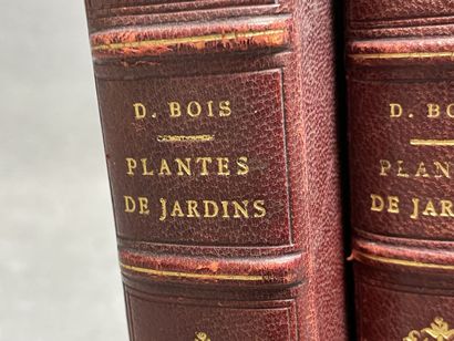 D. BOIS
Atlas des plantes de jardins et d'appartements...