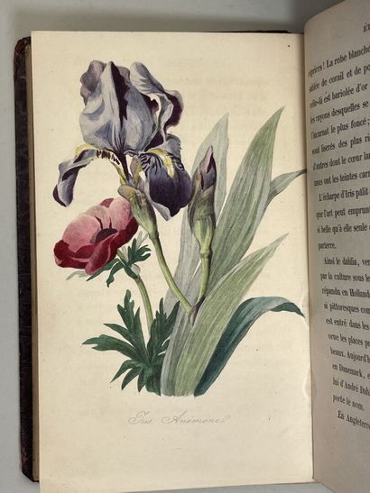 LA TOUR, Charlotte de (pseud. Mme. CORTE)....