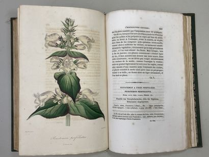 LEMAIRE, Charles. - L'Horticulteur Universel,...