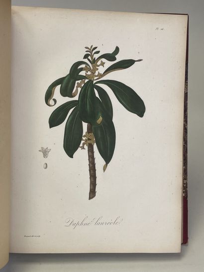 ROQUES, Joseph. - Phytographie médicale,...