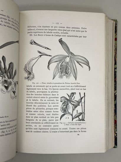 KERCHOVE DE DENTERGHEM, Oswald de. - Le Livre...