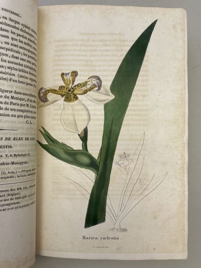 LEMAIRE, Charles. - L'Horticulteur Universel,...