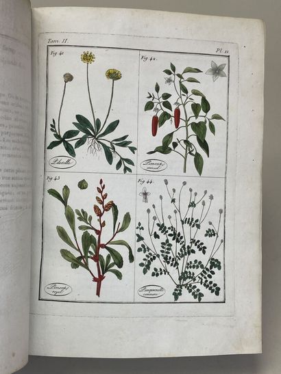 ROQUES, Joseph. - Plantes usuelles, indigènes...