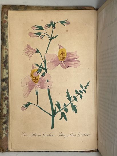 Journal d'horticulture pratique de la Belgique...