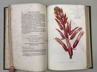 LEMAIRE, Charles. - L'Horticulteur Universel,...