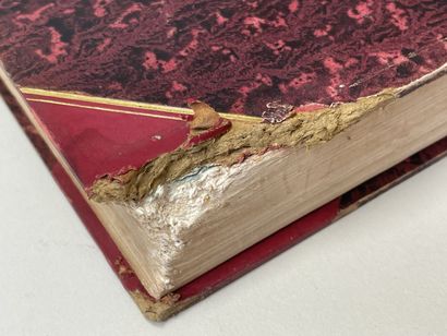 ROQUES, Joseph. - Phytographie médicale,...