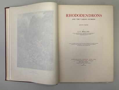 MILLAIS, John Guille. - Rhododendrons (first...