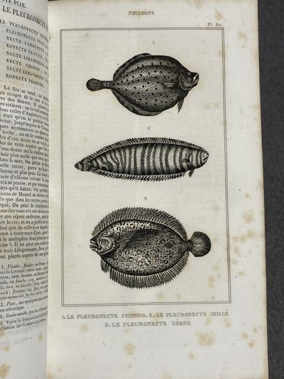 LACEPEDE, 
OEuvres du Comte de Lacépède comprenant...