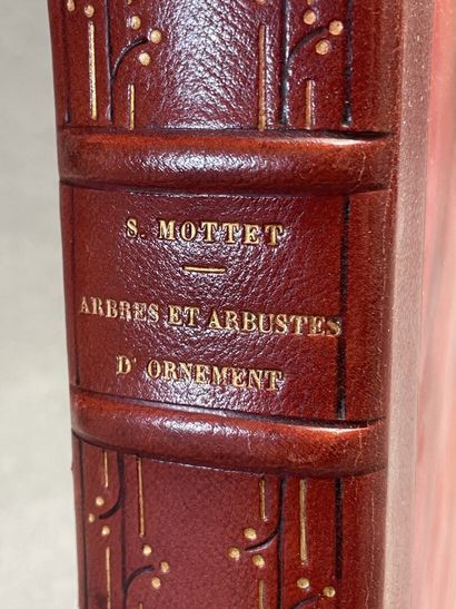MOTTET, S. - Les Arbres et les Arbustes d'ornement...