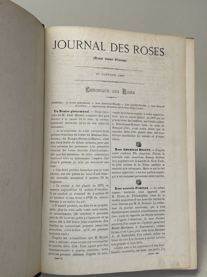 ROSES. - Journal des roses (Rosa inter flores)....