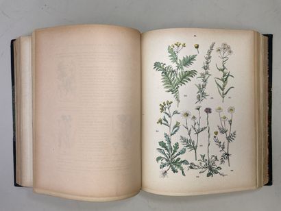 ROTHSCHILD, (Jules de) et al. - Botanique...