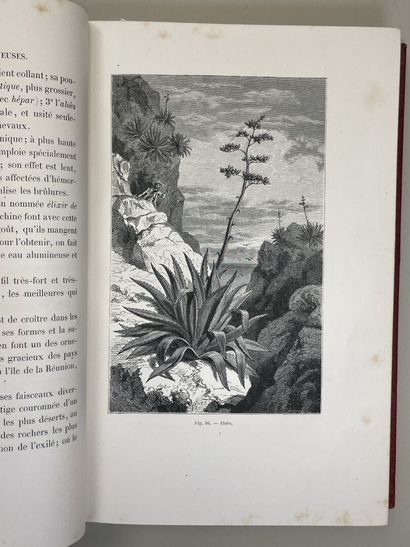 RAMBOSSON, Jean. - Histoire et légendes des...