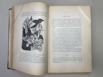 LINDEN, Lucien. - Les Orchidées exotiques...