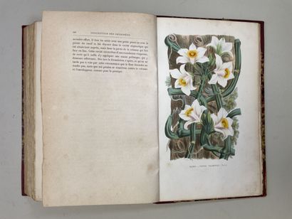 PUYDT, (Émile de). - Les Orchidées. Histoire...
