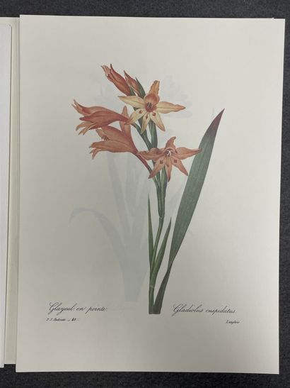REDOUTE:Choix des plus belles fleurs, 
fac...