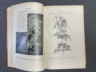 MOTTET, S. - Les Arbres et les Arbustes d'ornement...