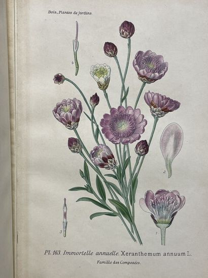 D. BOIS
Atlas des plantes de jardins et d'appartements...