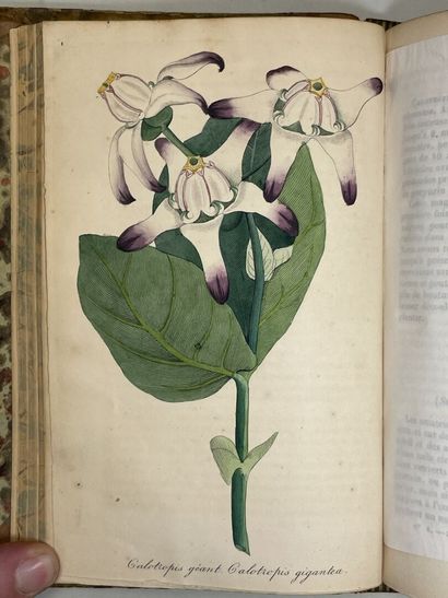 Journal d'horticulture pratique de la Belgique...